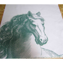 Ready panel  Horse head - green on white